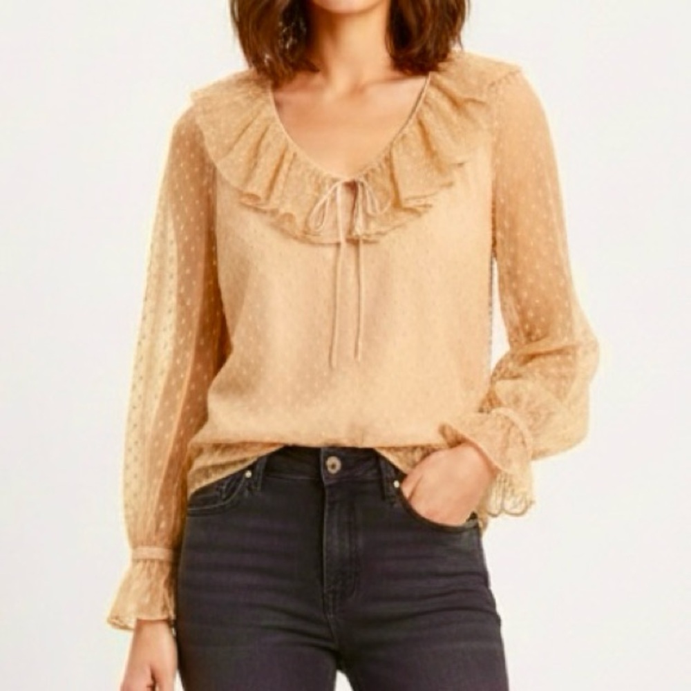 J. Crew Top Clip Dot Ruffle Mesh Long Sleeve Clay Bronze Tan M Elegant Preppy